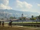 How To Bet On Kentucky Derby 2024 In California: CA Sports Betting