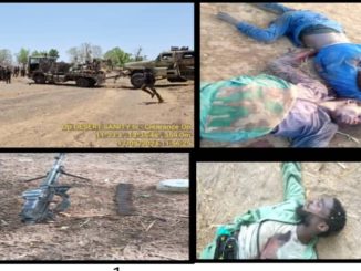 Troops Kill 7 Terrorists, Recover Arms In Borno