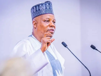 It’s Time To Solve Problems, Not Protest – Shettima