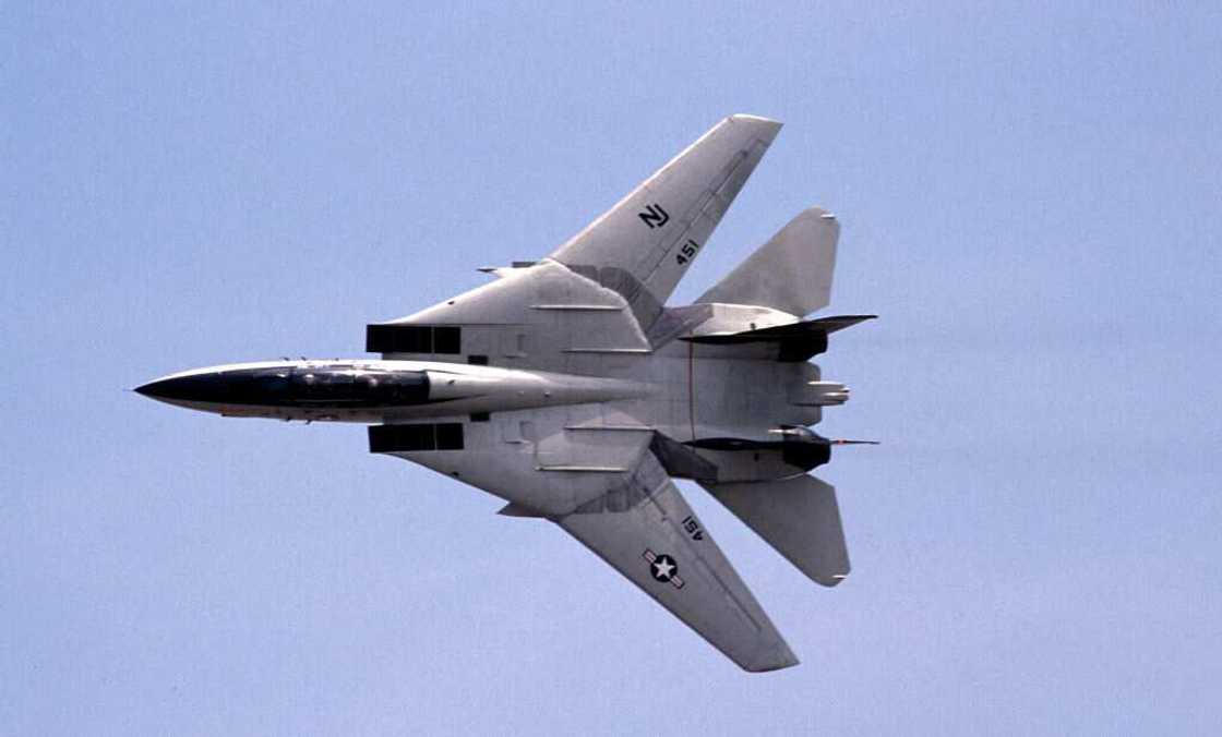 A Grumman F-14 Tomcat in the sky