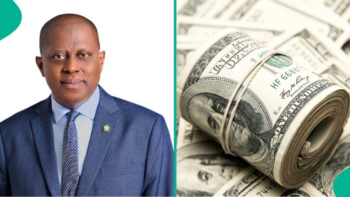 Dollar Supply in The Official Market Surges to $43 Billion as Naira Trades at New Rates