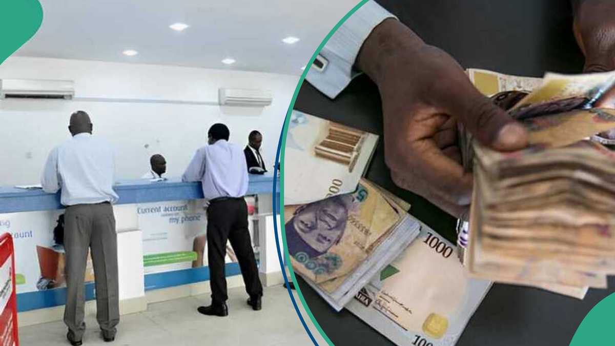 11 Banks Earn N6.5trn From Loans, Advances as CBN Releases Interest Rates For Access, UBA, Others