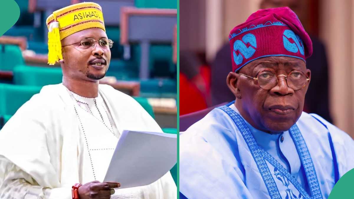 Kogi Lawmaker Suggests Hausa Translation for Tinubu's Tax Reform Bill Amid Northern Opposition