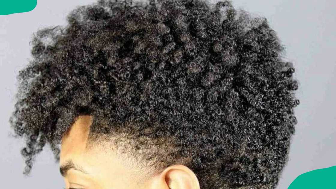 black curly taper fade hairstyle for men