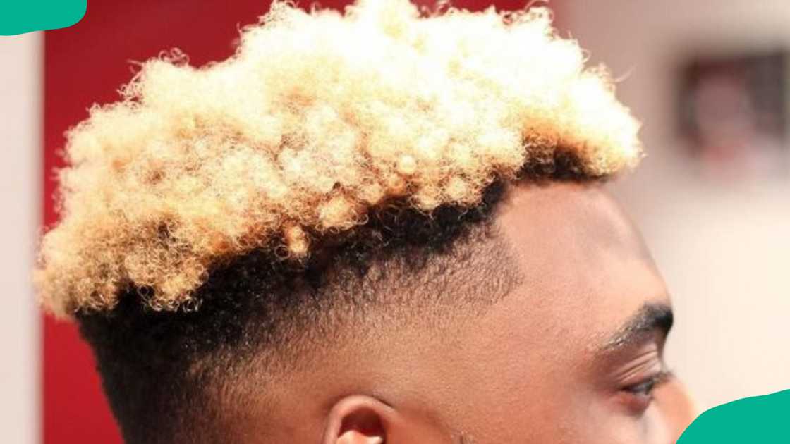 Blonde afro curls for men