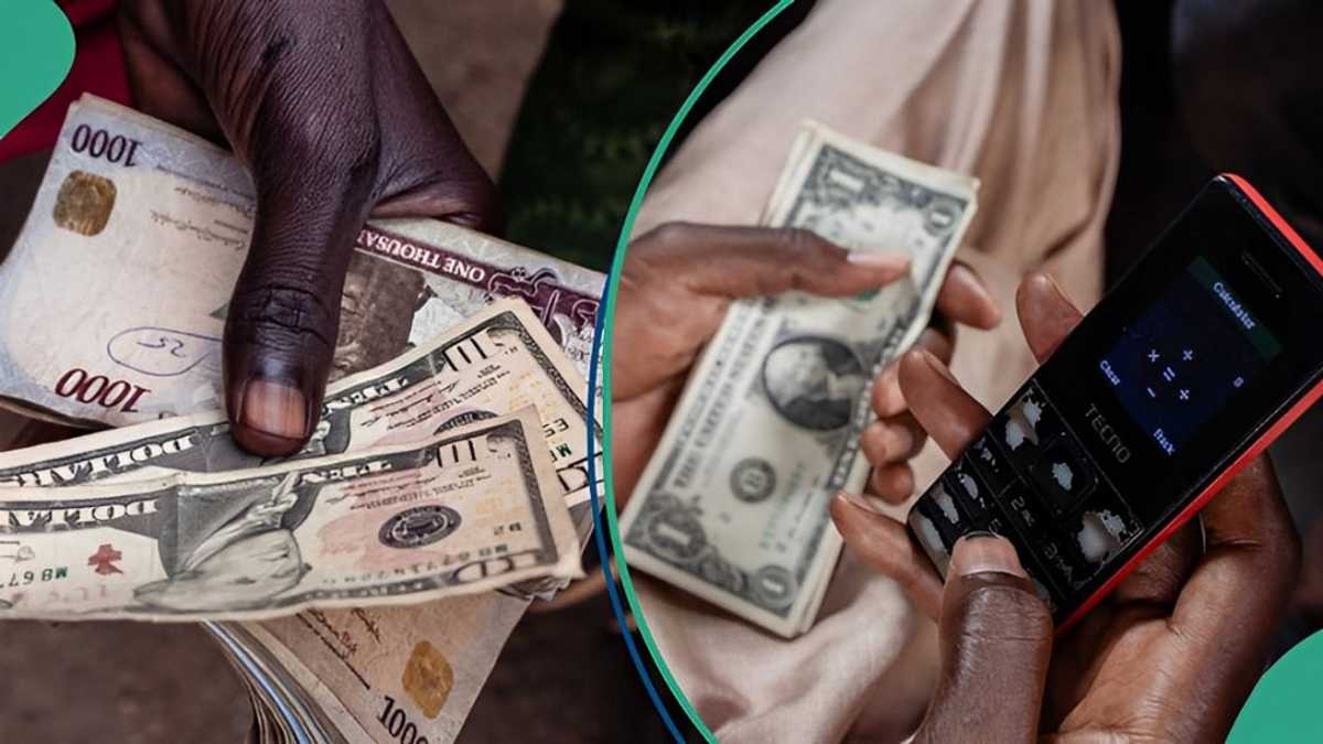 New Exchange Rate: Dollar Crashes by Over N100 Against Nigerian Currency