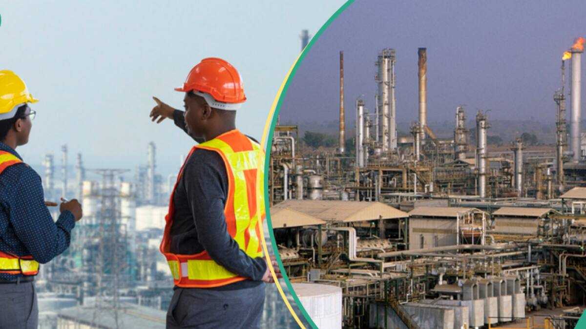 FG Gives Update on Second Port Harcourt Refinery as NNPC CEO Confirms Petrol Blending Report