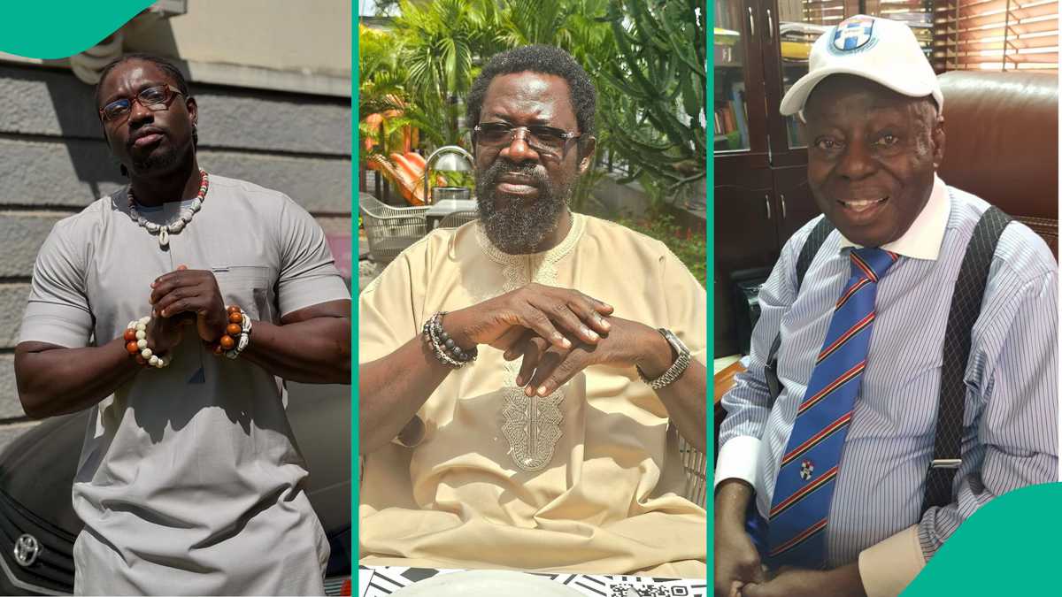 Dele Farotimi: Verydarkman Schools Afe Babalola on How to Handle Arrested Lawyer's Case