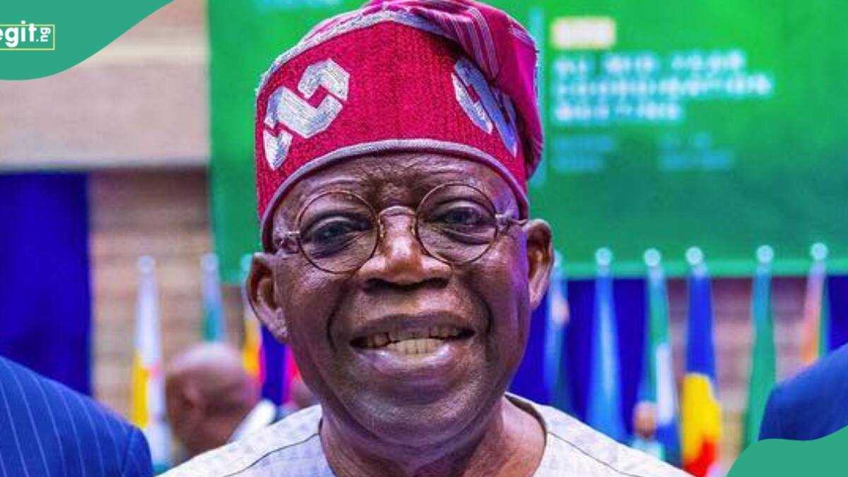 Tinubu Names Heads for Northwest, Southeast Development Commissions, Renominates Others in New List