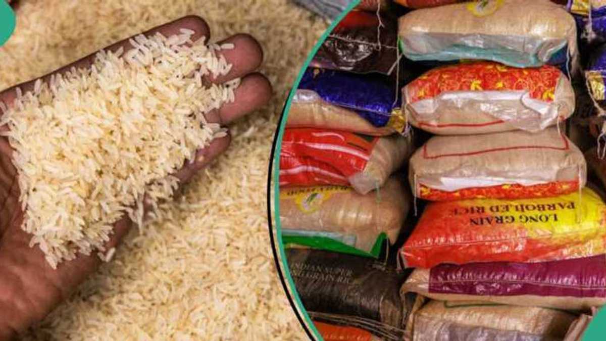 FG to Cut Off Nigeria's $480m Rice Import Bill, Boost Local Production Ahead of Christmas