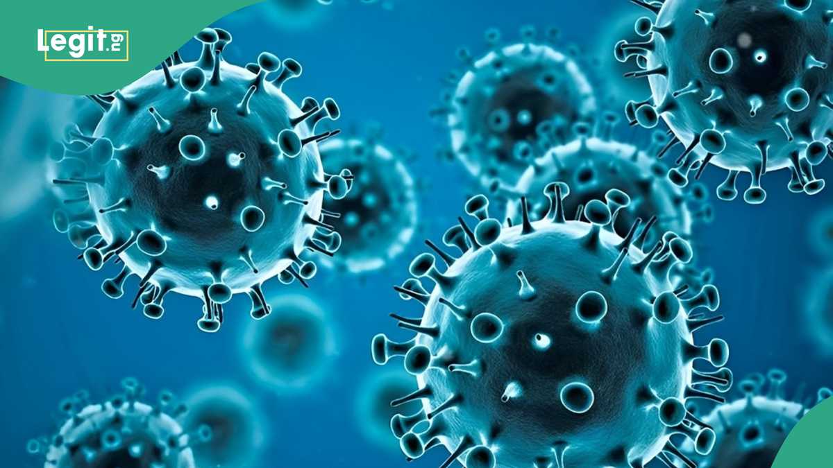 No New COVID-19 Variant Detected in Nigeria, Health Ministry Confirms