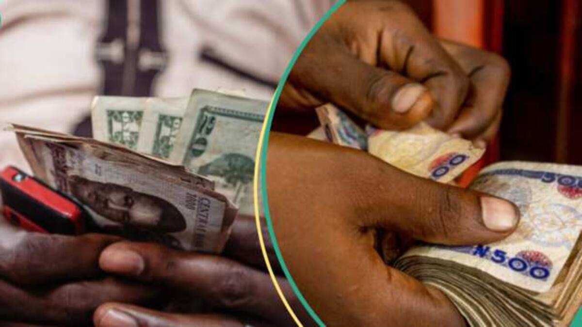 “Expert Further Rise”: Experts Predict New Exchange Rate as Naira Gains N300