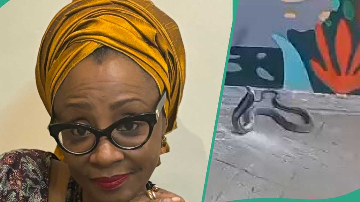 Video Shows Deadly Cobra in El-Rufai Wife’s House, “No Weapon Formed Against You Shall Prosper”