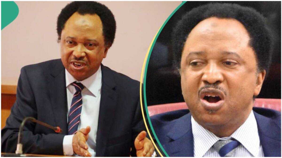 "From JAMB Scores": Reactions as Shehu Sani Predicts Polytechnics, Colleges of Education' Extinction