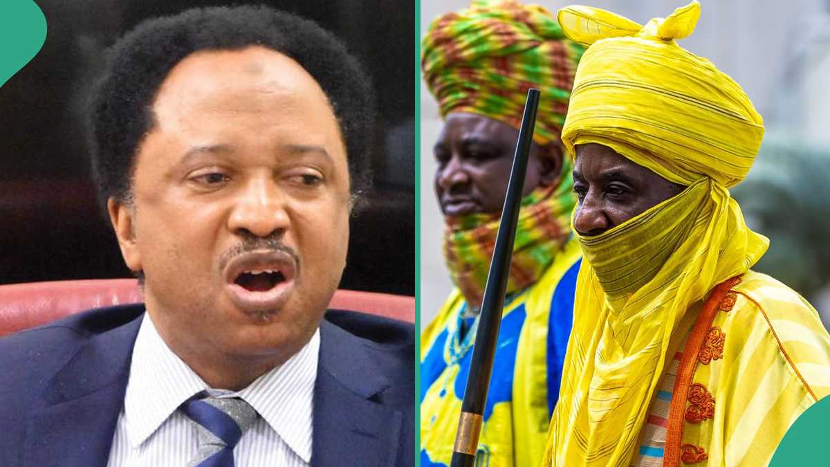 "His Highness Sanusi Should Not Be Encouraging This Kind of Domestic Violence" - Shehu Sani