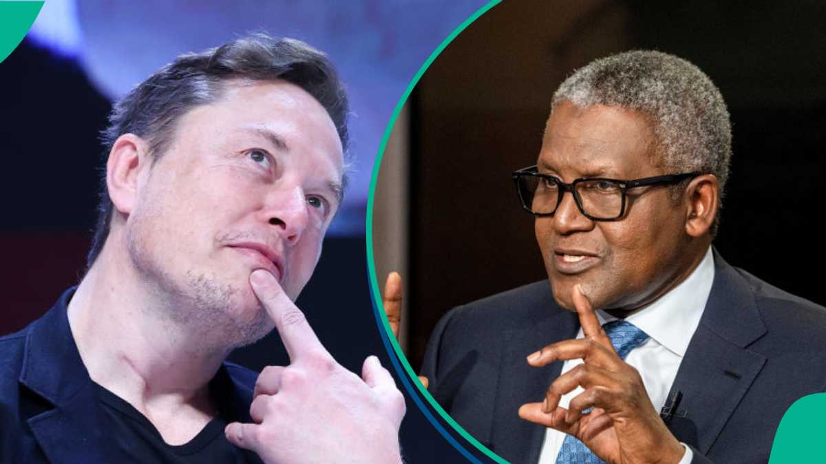 Elon Musk Wealth Soars to Highest Level in History, Dangote Gets New Position in World Ranking