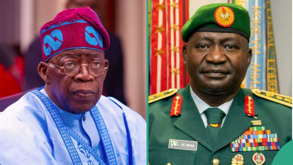 “A Round Peg in a Round Hole”: Tinubu, CDS Commended As Military Eliminates Thousands of Terrorists