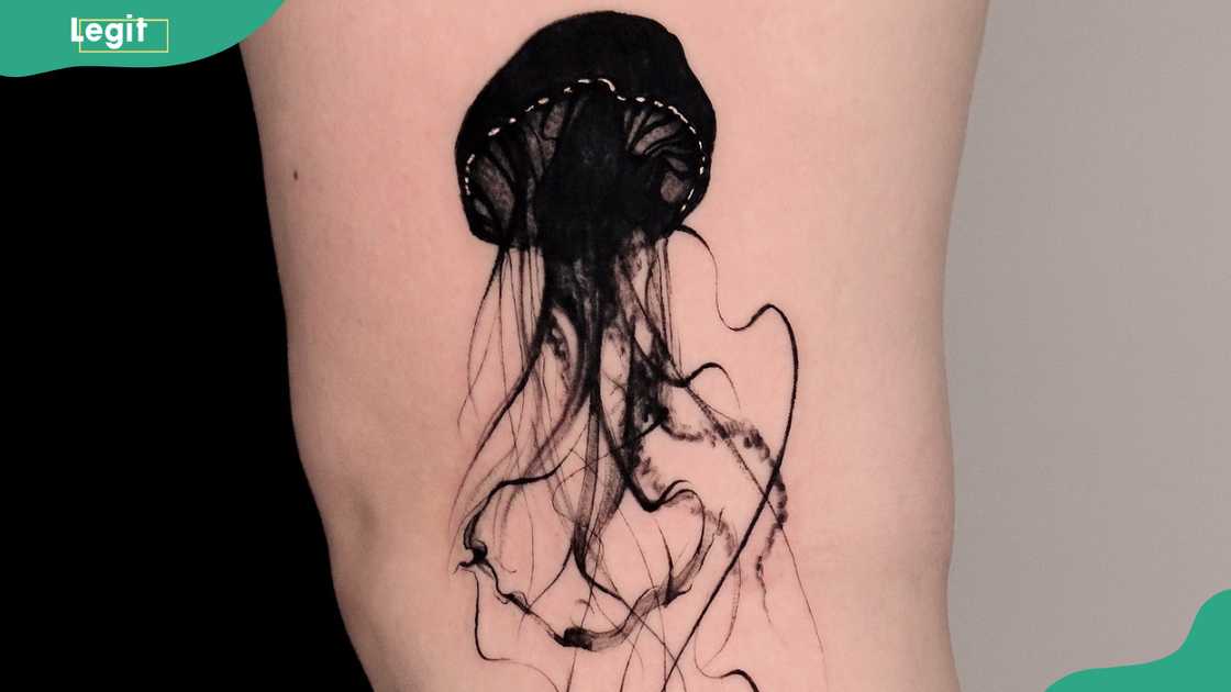 Black jellyfish design