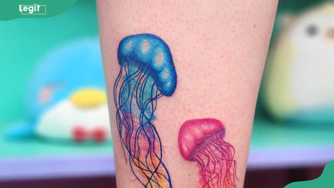 Two cute jellyfish tattoos