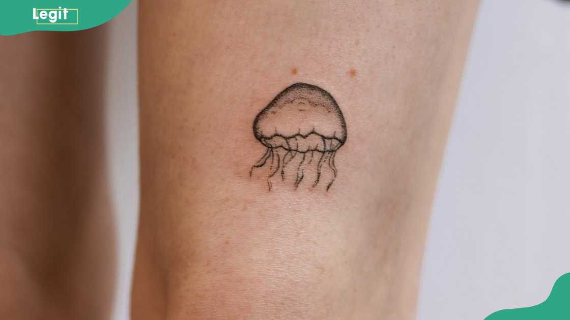 Minimalist jellyfish tattoo