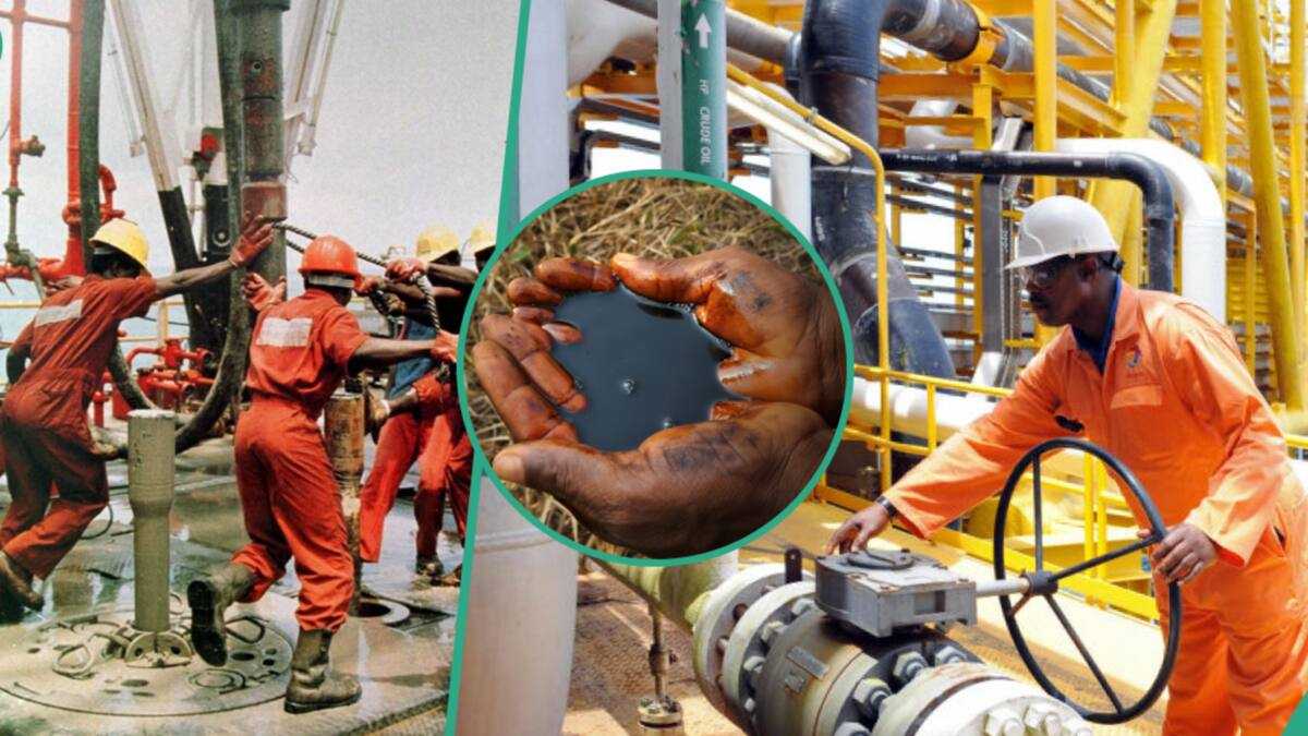 Boost For Nigeria: After Acquiring ExxonMobil, Seplat Moves to Revive 400 Oil Wells