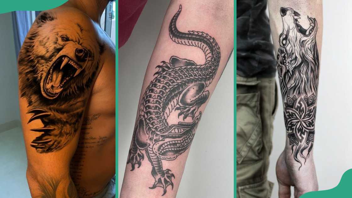 Bear (L), crocodile (C), and wolf (R) tattoos