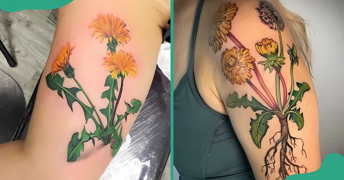 Colourful and realistic dandelion plant tattoos