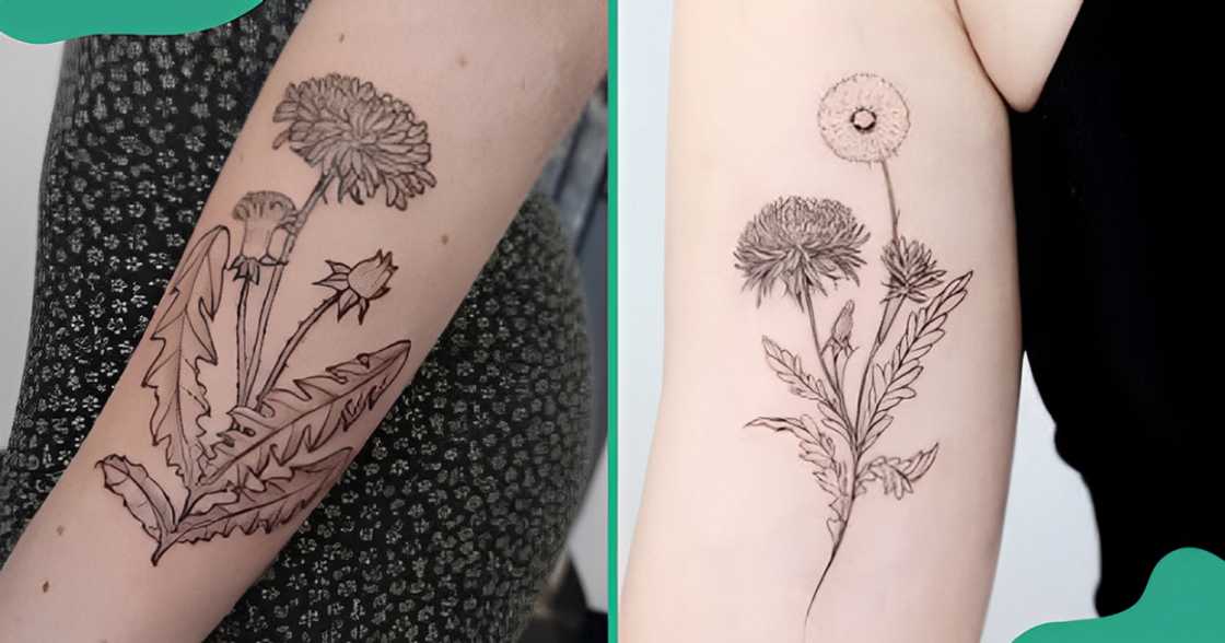 Dandelion tattoo designs with more than one flower.