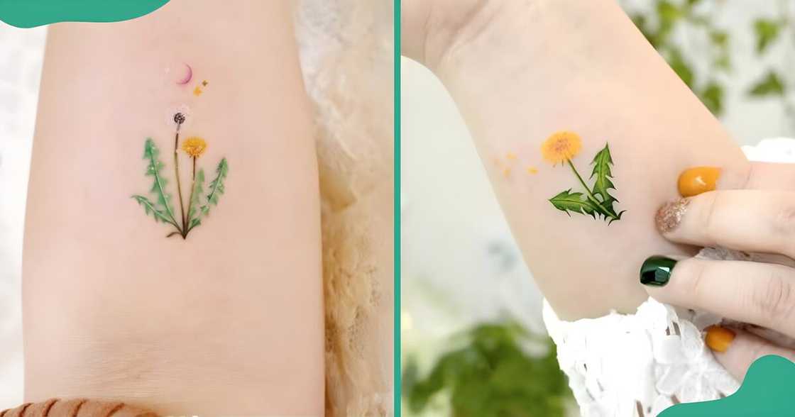 Colourful minimalist tattoos of the partial or entire dandelion plant.