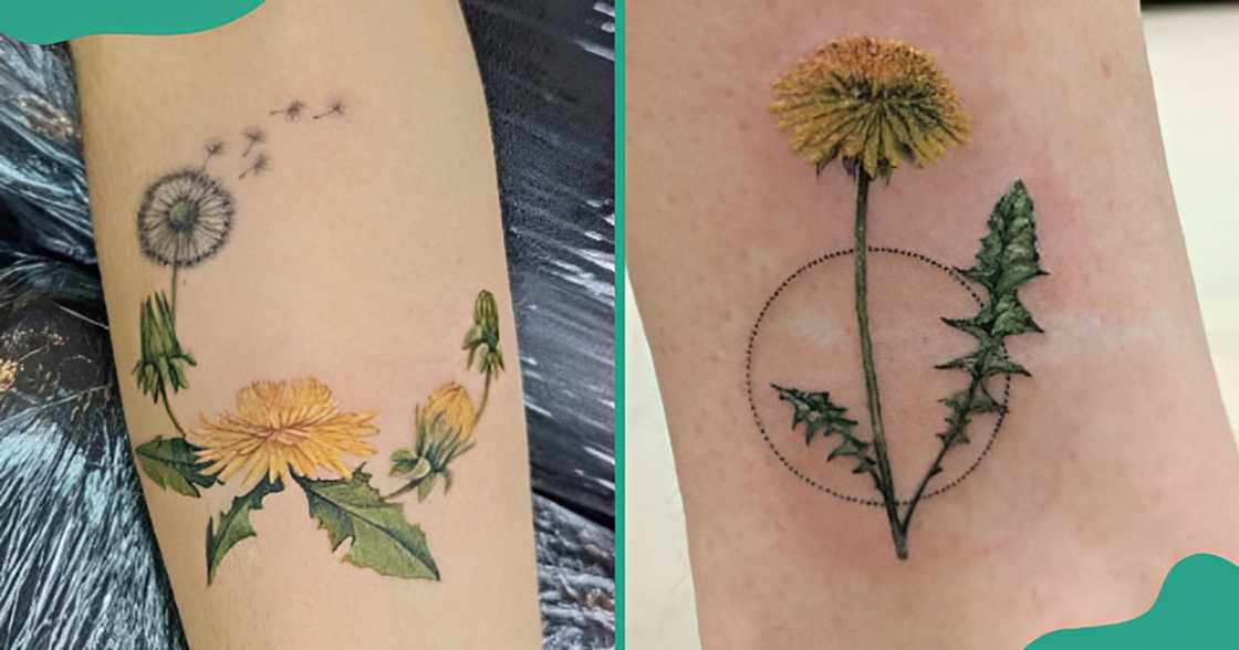 Realistic dandelion tattoos designed in geometric circles.