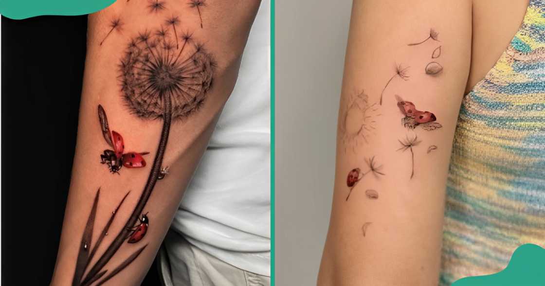 Blown dandelion tattoos with realistic ladybirds on the forearm (L) and the upper arm (R).