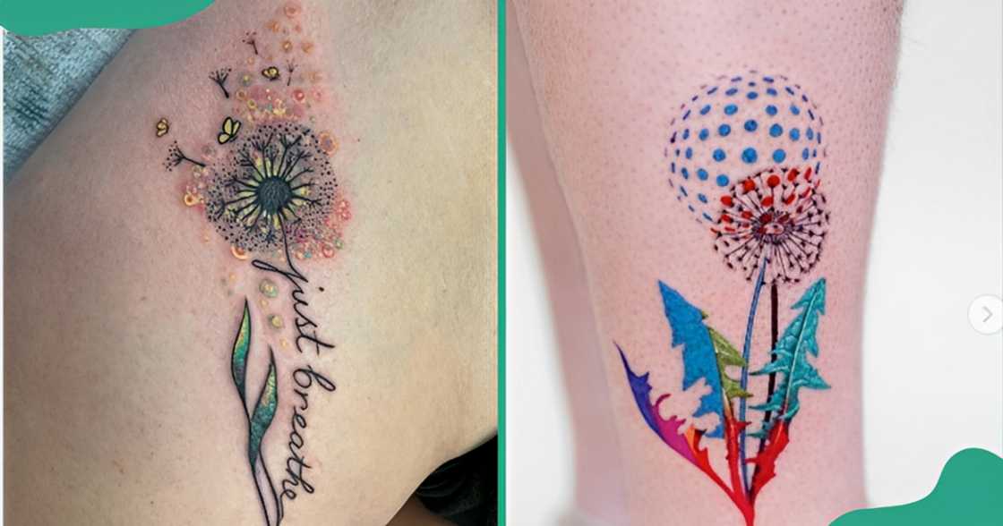 Colourful dandelion tattoos on the legs (L) and arms (R).