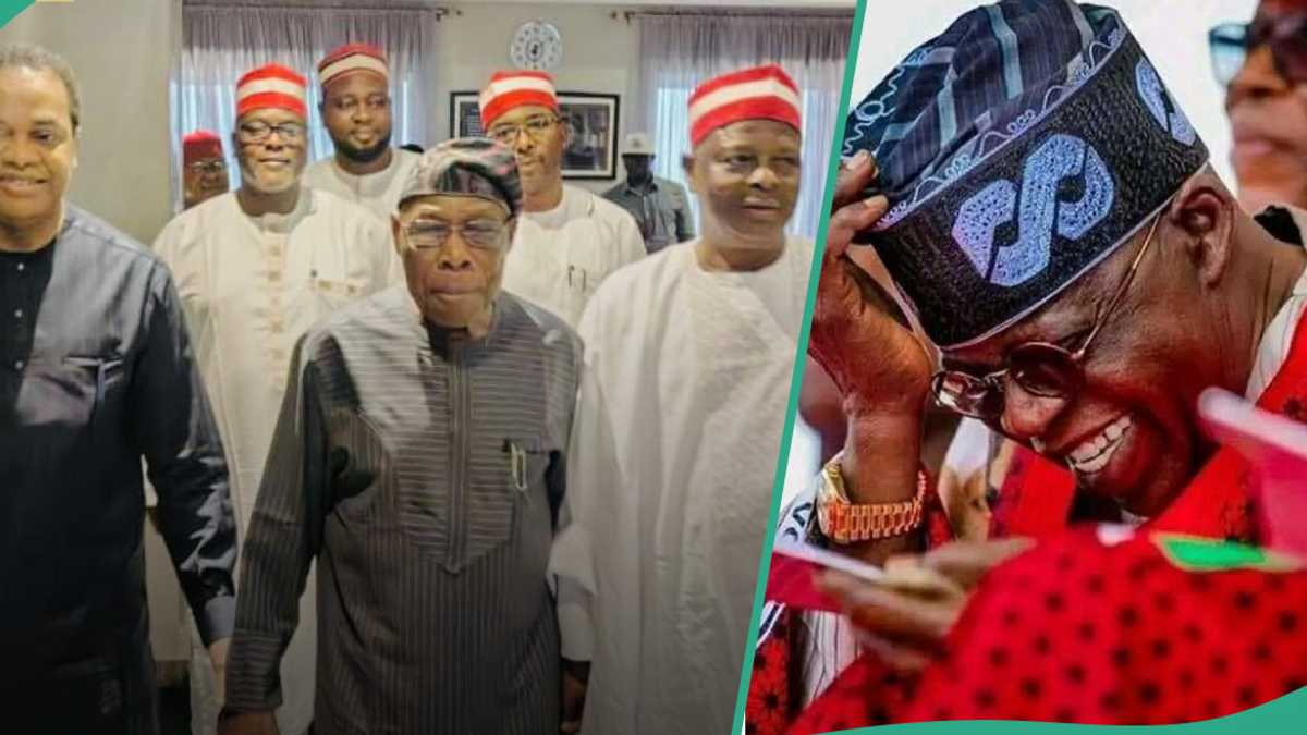 "Tinubu is Not Their Mate": APC Reacts to Obasanjo, Kwankwaso, Obi’s 2027 Ploy