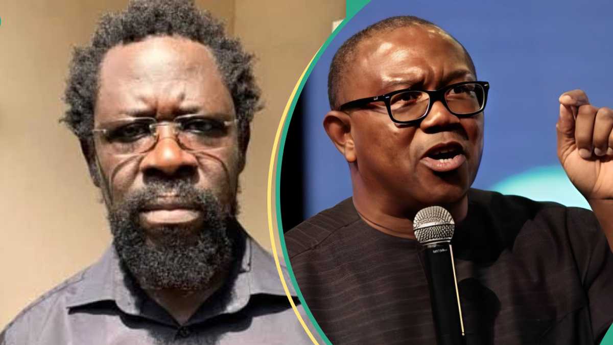 Did Dele Farotimi Send Peter Obi to Meet Afe Babalola Over his Arrest? Lawyer Clears Air