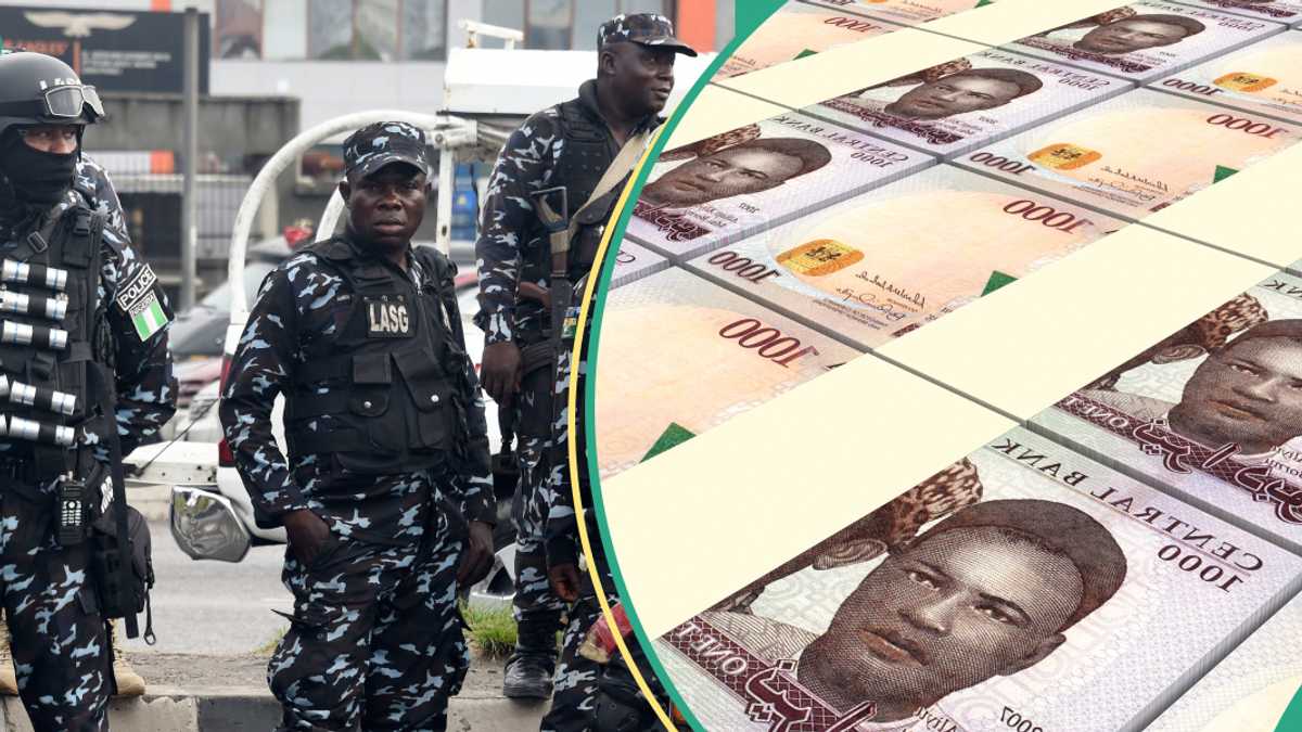 Lagos Police Reject N66m Bribe, Track Fraud Syndicate with Interpol Assistance