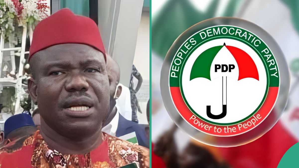 PDP Expels National Vice Chairman Southeast, Reason Emerges