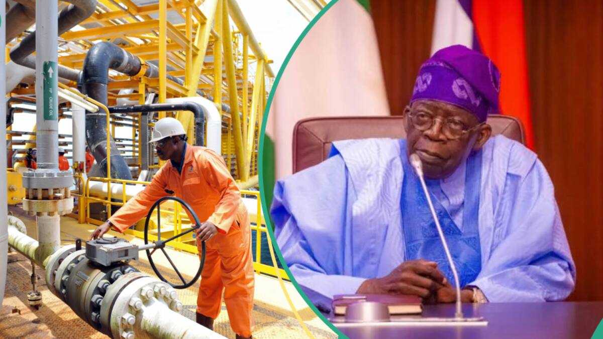 FG Names New Owners of Oil Wells in Nigeria as MRS, TotalEnergies, Others Emerge Winners, NNPC Loses