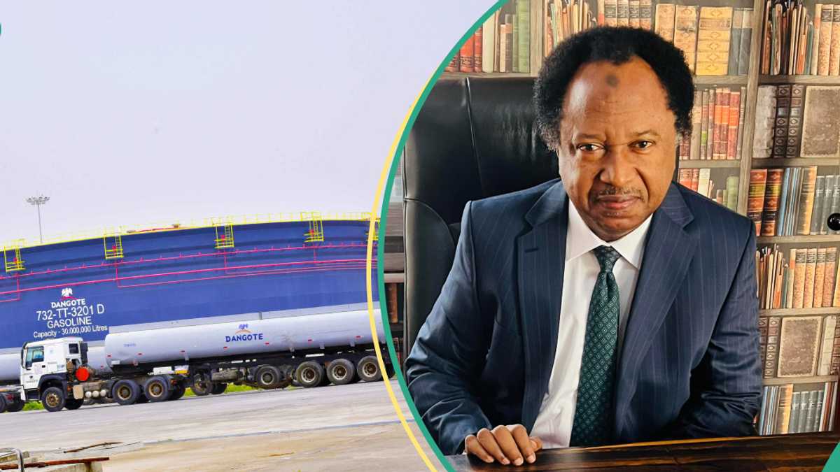 Shehu Sani Reacts as Dangote Refinery Slashes Petrol Price