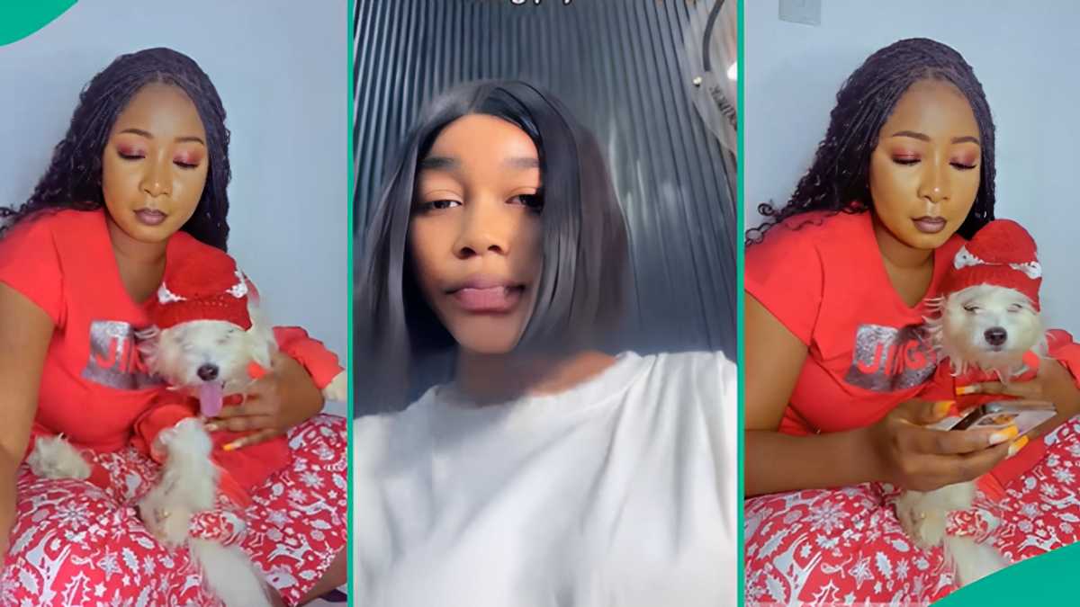 Lady Wears Matching Christmas Pyjamas with Her Dog, Her Sister Shares Video of Them