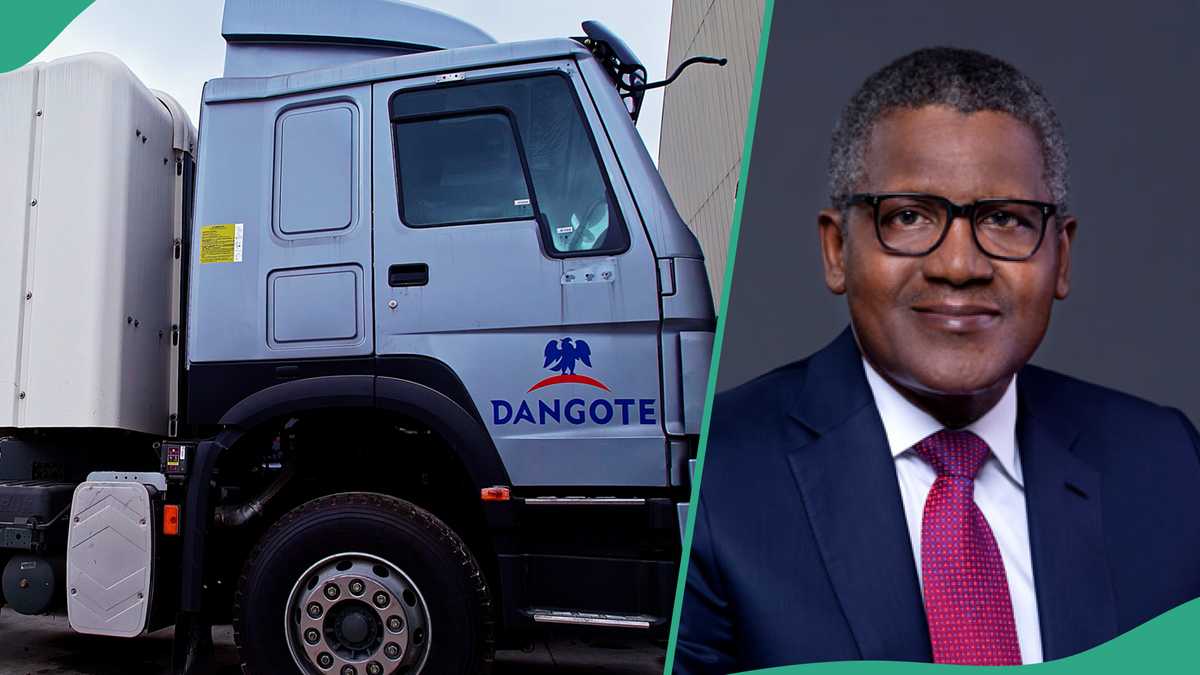 NASS Visits Dangote’s New Company Competing With Innoson, Speaks on Policy Formulation