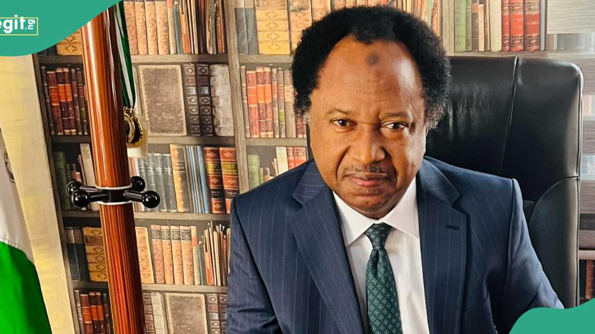 Christmas: Why Airlines Should Have Fear of God Than Bus Drivers, Shehu Sani Explains