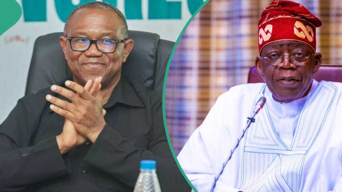 Presidency Spits Fire As Peter Obi Addresses Tragic Stampedes Across Nigeria: “You Lack Decency”