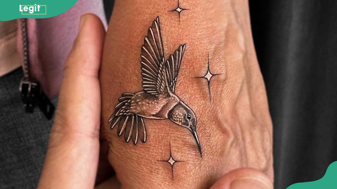 Hummingbird with stars