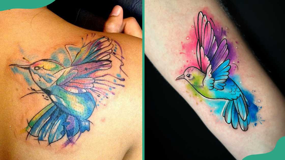 Watercolour hummingbird tattoo