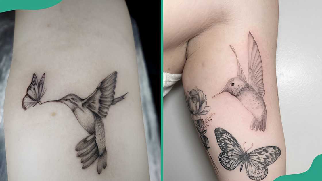 Hummingbird and butterfly tattoo