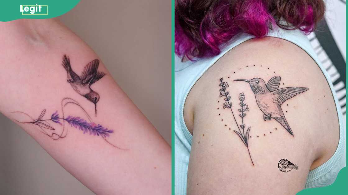 Hummingbird and lavender tattoo