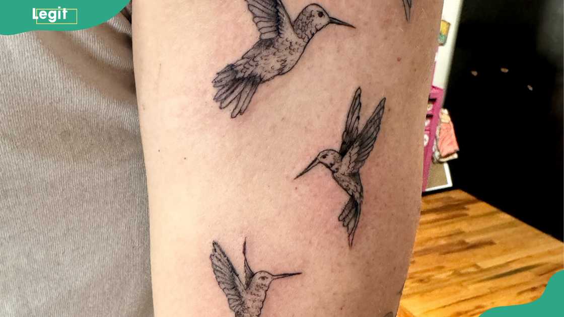 Flock of hummingbirds tattoo