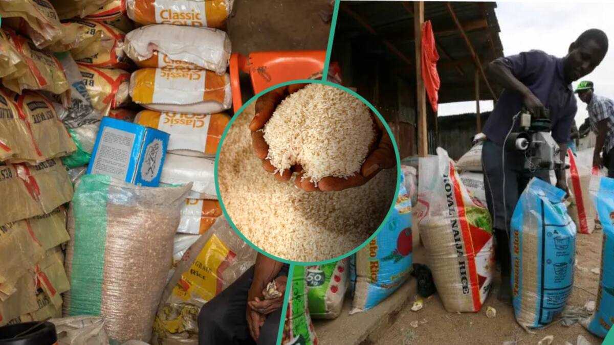 Gloomy Christmas: How Price of 50kg Bag of Rice Soared From N10,000 to N100,000 in 10 Years