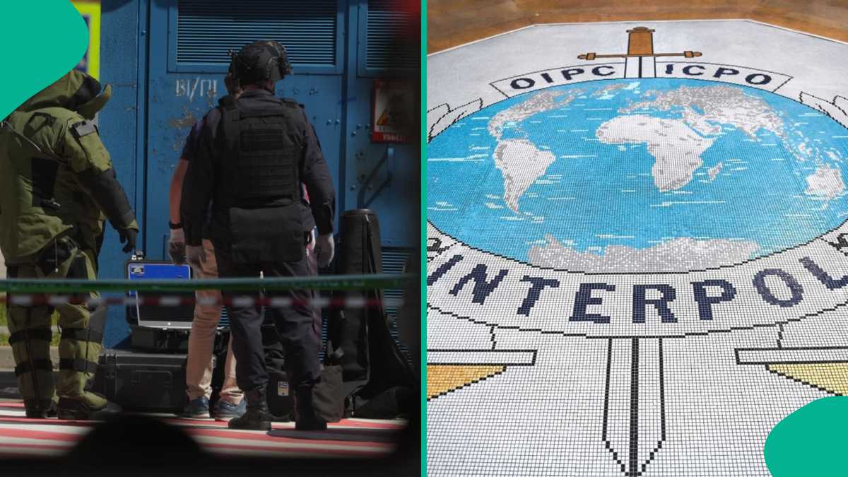 Interpol Declares 14 Nigerians Wanted for Human Trafficking, and Other Crimes Across Countries