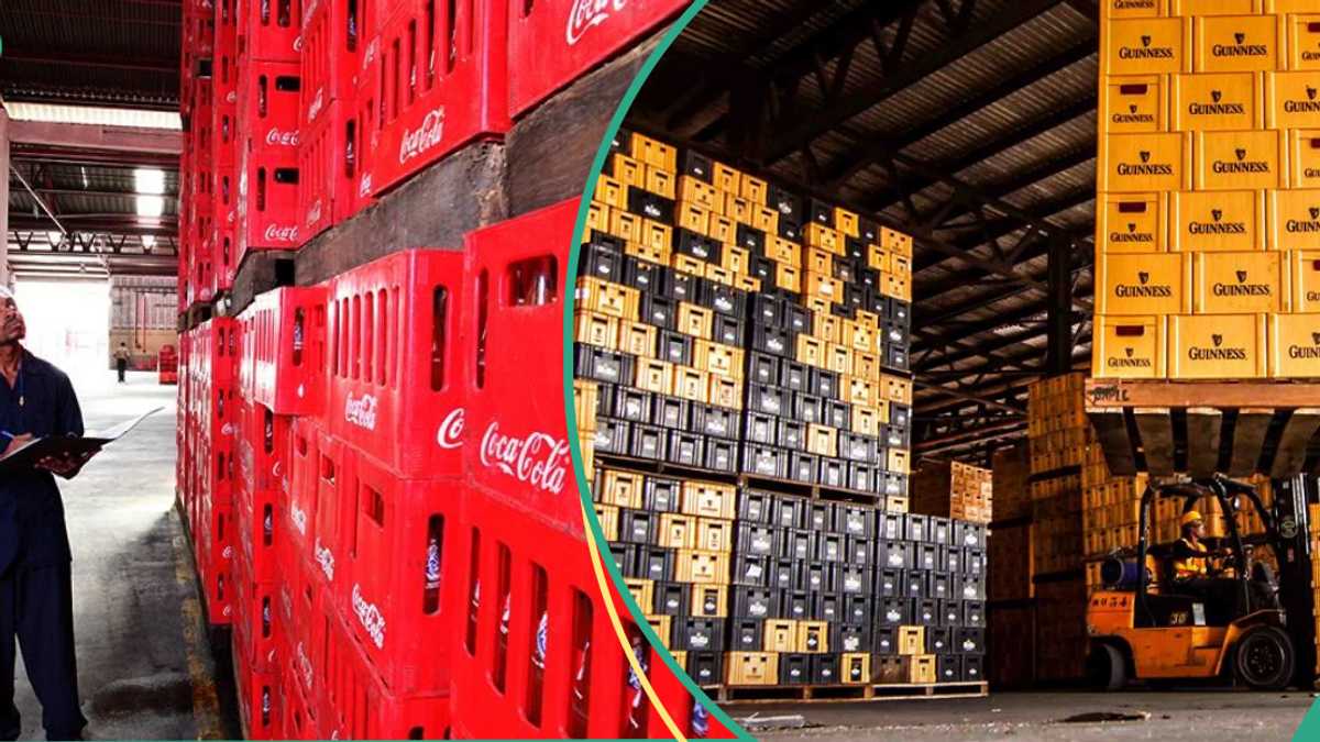 Lagos Shuts Down Coca-Cola, FrieslandCampina, Guinness Plants Over Regulatory Breach